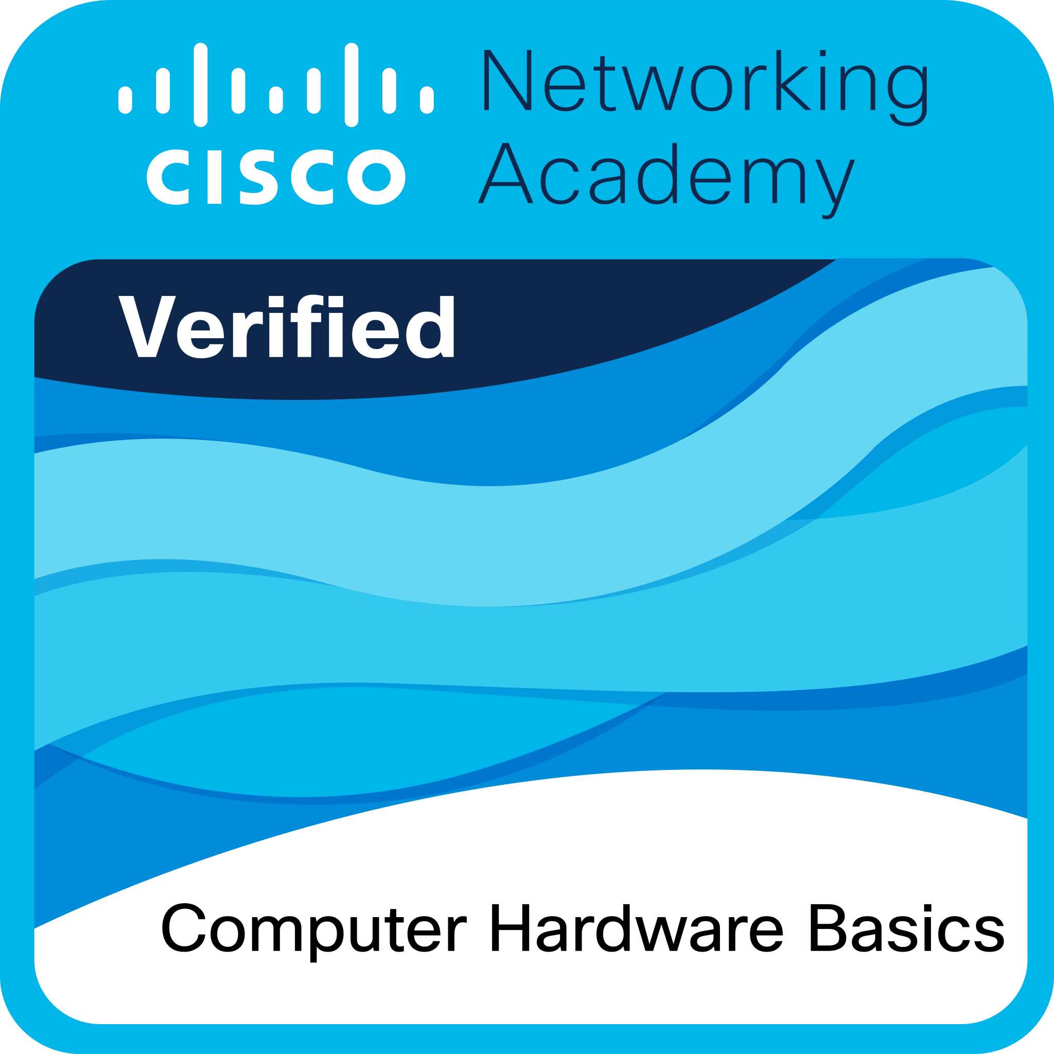 Hardware Basics Badge